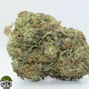 100 Racks Strain