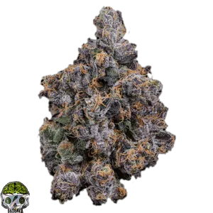 Biscotti Strain