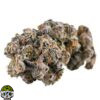 Biscotti Strain - Image 4