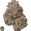 Biscotti Strain - Image 3