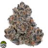 Biscotti Strain