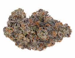 Biscotti Strain