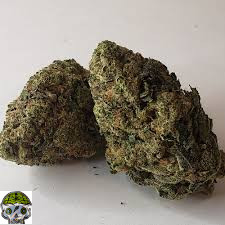 Black Maple Strain