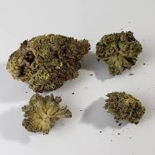 Black Maple Strain

