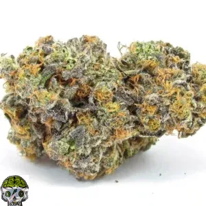 Blue 16 Strain