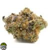 Blue 16 Strain