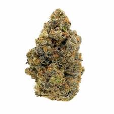 Blue 16 Strain
