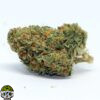 Strawberry Guava Strain