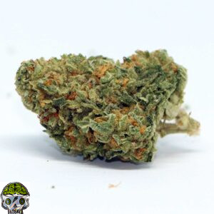 Strawberry Guava Strain