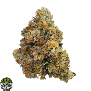 Tribute 13 Strain