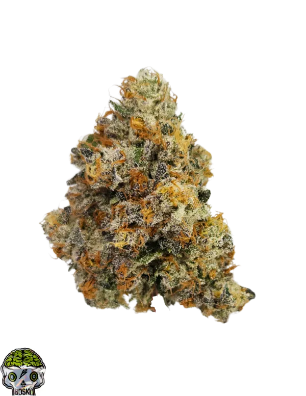 Tribute 13 Strain