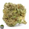 Coconut Cream Strain