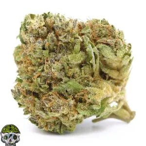 Coconut Cream Strain