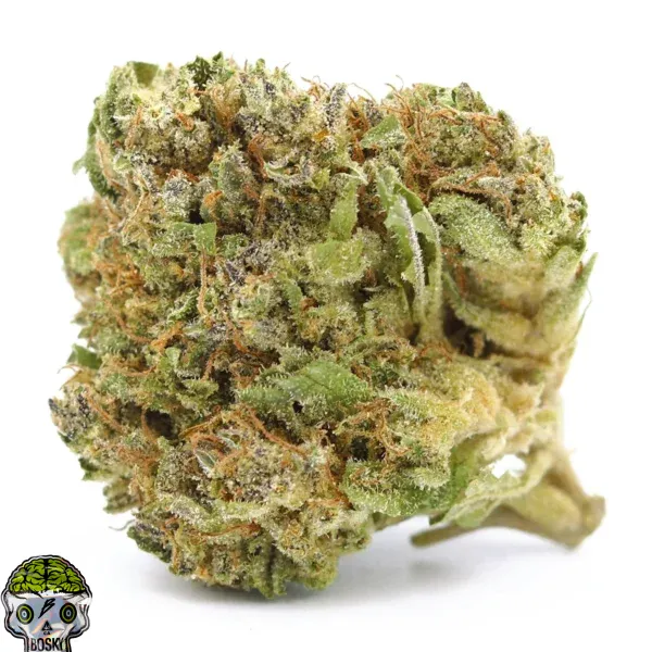 Coconut Cream Strain