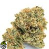 Coconut Cream Strain - Image 4