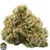 Coconut Cream Strain