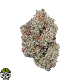Dough Boy Strain
