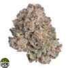 Dough Boy Strain - Image 3