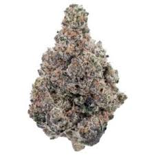 Dough Boy Strain 