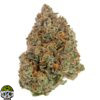 Froot Loops Strain
