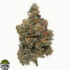 Froot Loops Strain - Image 4