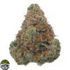 Froot Loops Strain - Image 3