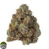 Froot Loops Strain - Image 2