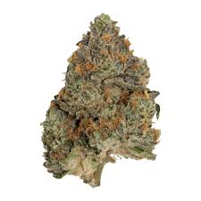 Froot Loops Strain