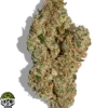 Gmo Cookie Strain