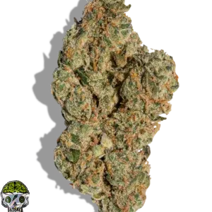 Gmo Cookie Strain