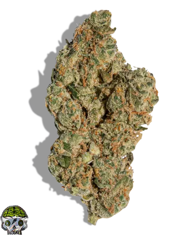Gmo Cookie Strain