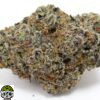 Glitter Bomb Weed Strain