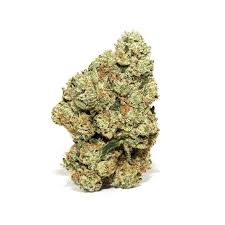 Gmo Cookie Strain