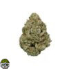 Gmo Cookie Strain - Image 4