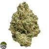 Gmo Cookie Strain - Image 3
