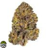 Gorilla Butter Strain
