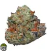 Gorilla Cookies Strain