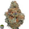 Gorilla Cookies Strain - Image 4