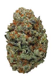 Gorilla Cookies Strain 