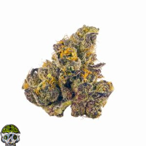Governmint Oasis Strain
