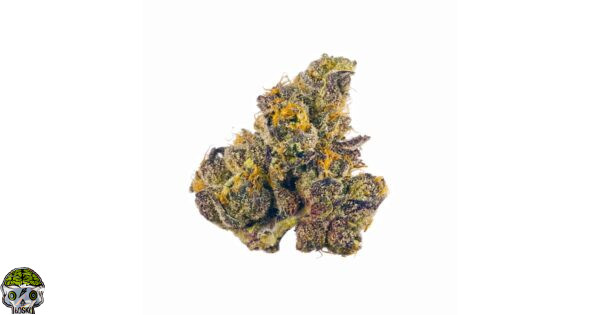 Governmint Oasis Strain