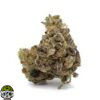 Governmint Oasis Strain - Image 4