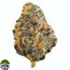 Governmint Oasis Strain - Image 3