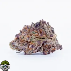 Gushers Strain