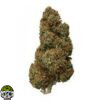 Hawaiian Haze Strain