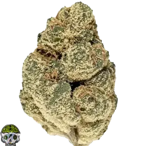 Lifter Strain