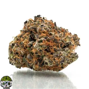 Horchata Strain