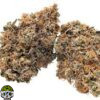 Horchata Strain - Image 4
