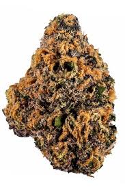Horchata Strain
