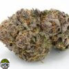Koffee Cake Strain